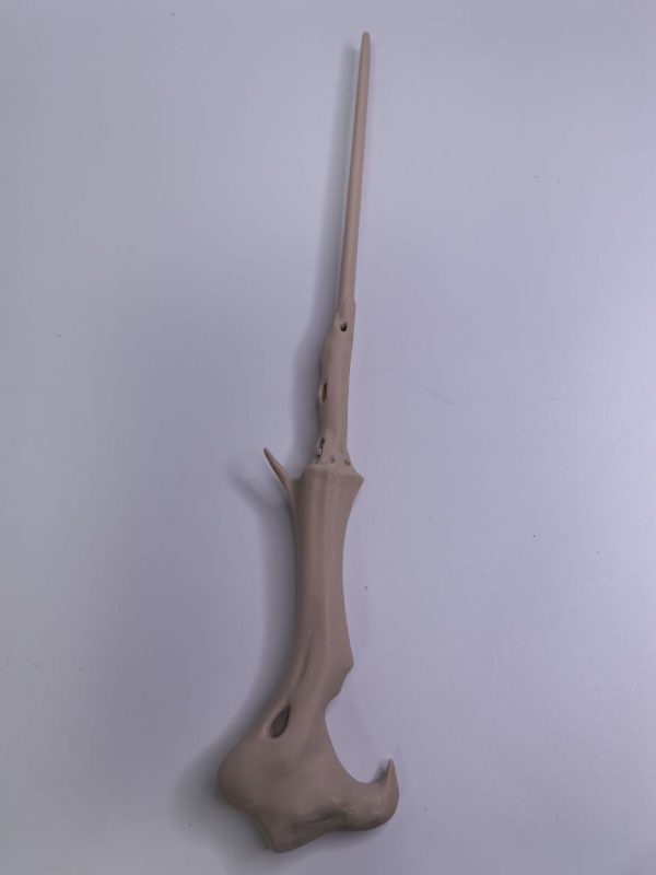 photo_1_2026-01-23_09-43-10