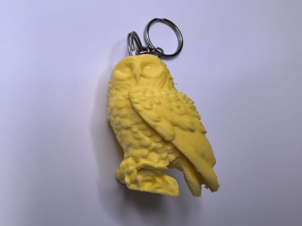 photo_3_2026-01-23_09-06-14