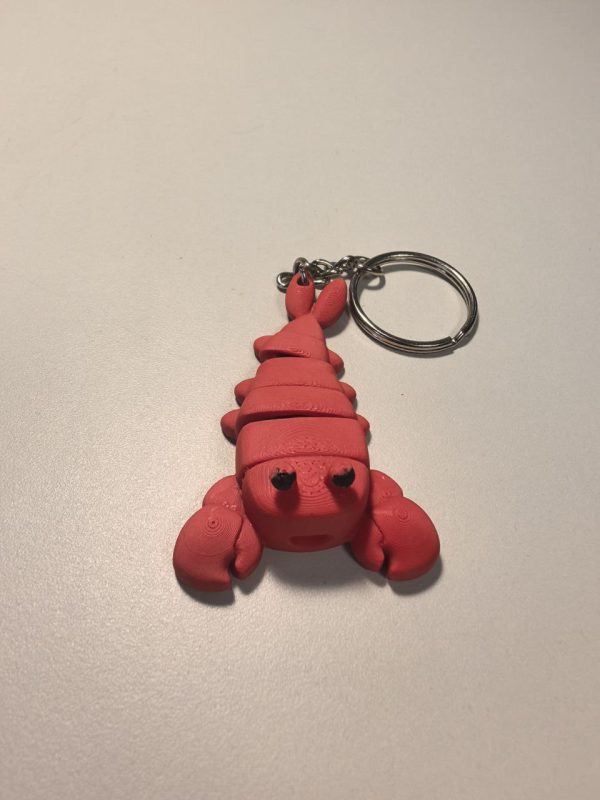 photo_3_2026-01-23_10-36-18